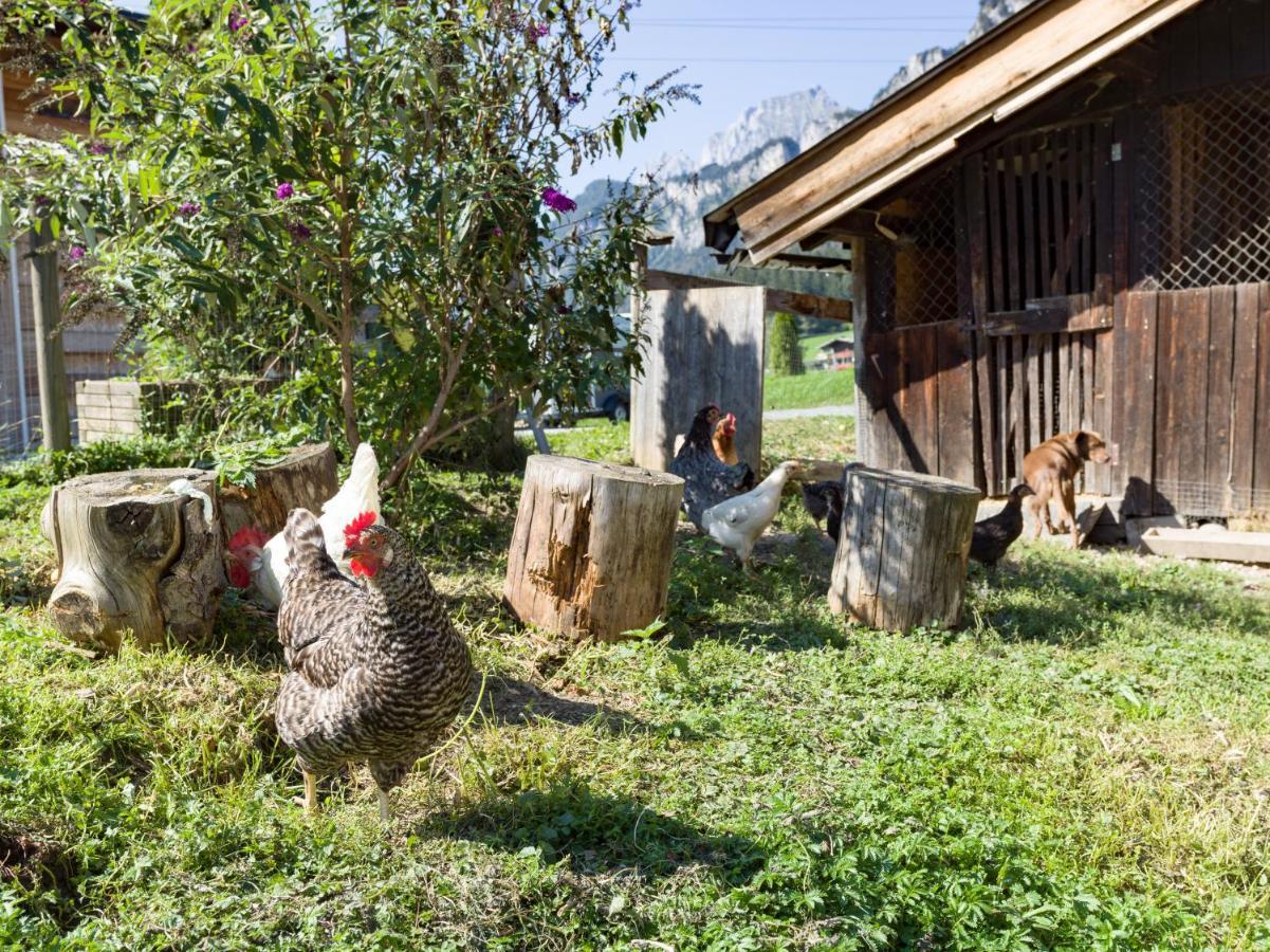 Narzenhof Wellness Chalets, Familien & Luxus Apartments Am Bauernhof ซางค์ท โยฮันน์ อิน ทิโรล ภายนอก รูปภาพ